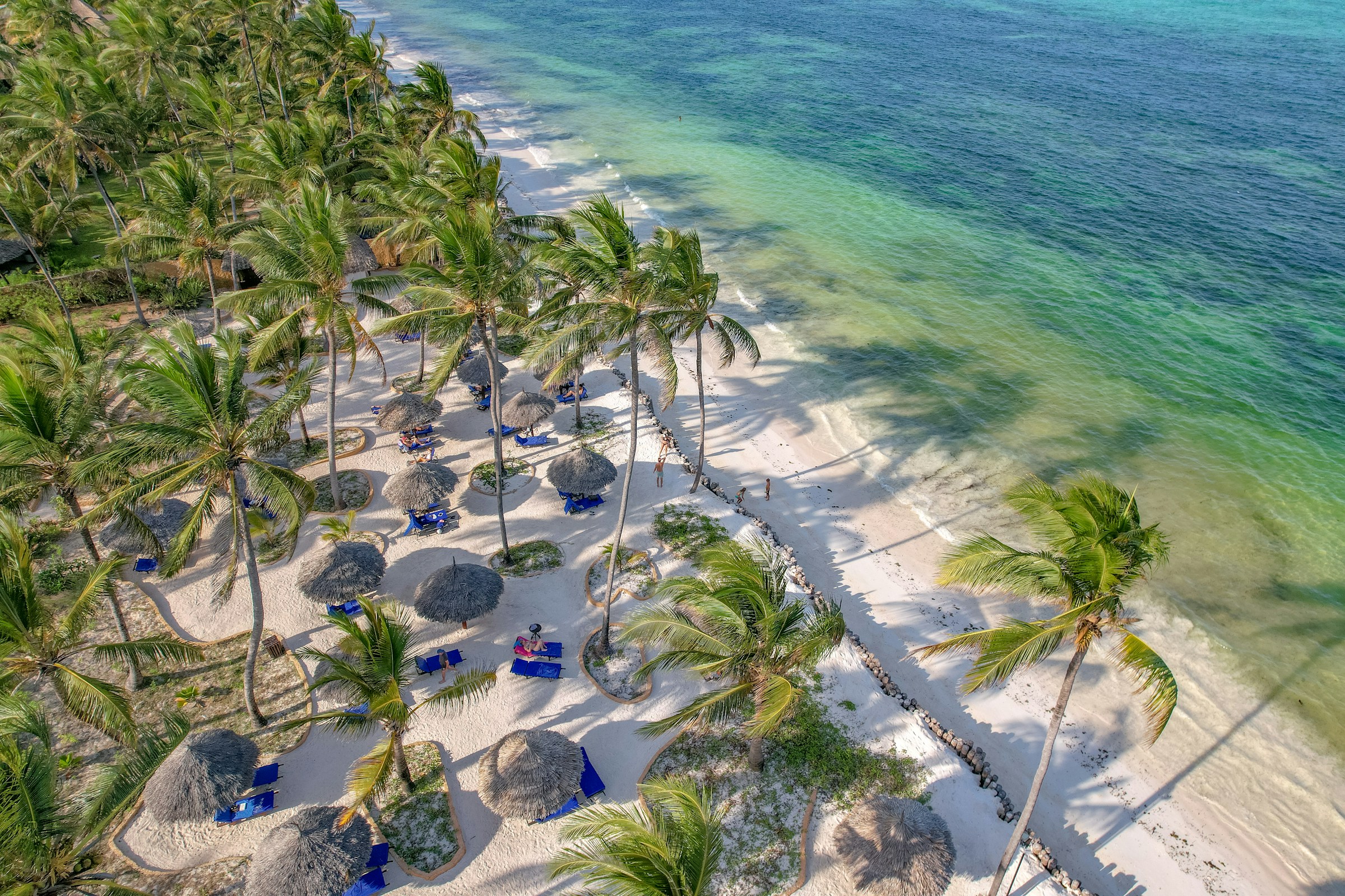 Palm trees and white-sand beach beside turquoise water in Zanzibar